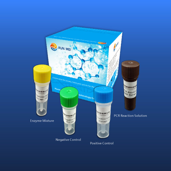 Nouveau kit de détection d'acide nucléique coronavirus Covid-19 (méthode fluorescente RT-PCR)