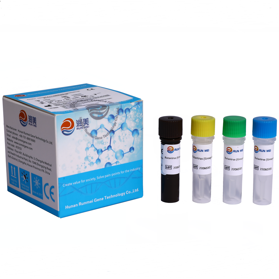 Group de rotavirus A B C kit de détection de PCR en temps réel 